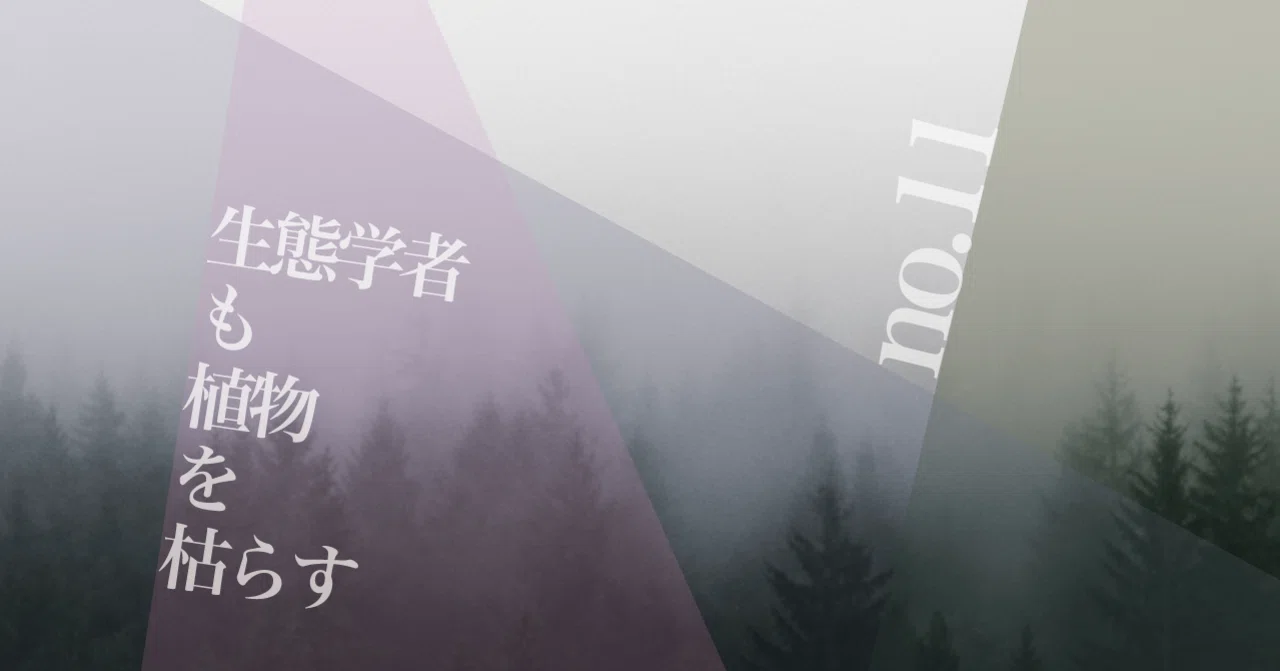 Walking in the Oirase Forest｜伊勢武史（生態学者）