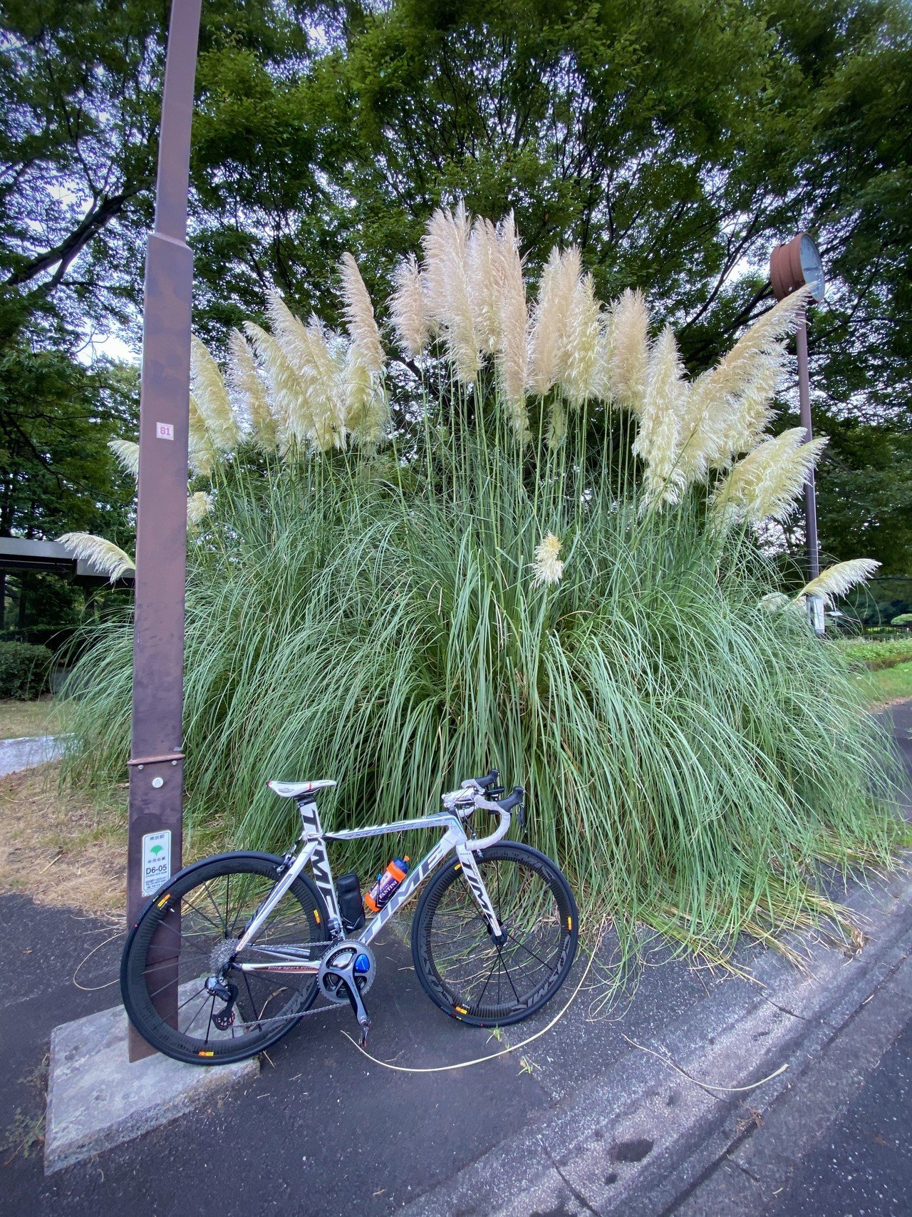 葛西臨海公園ポタリング 西川正治 Note