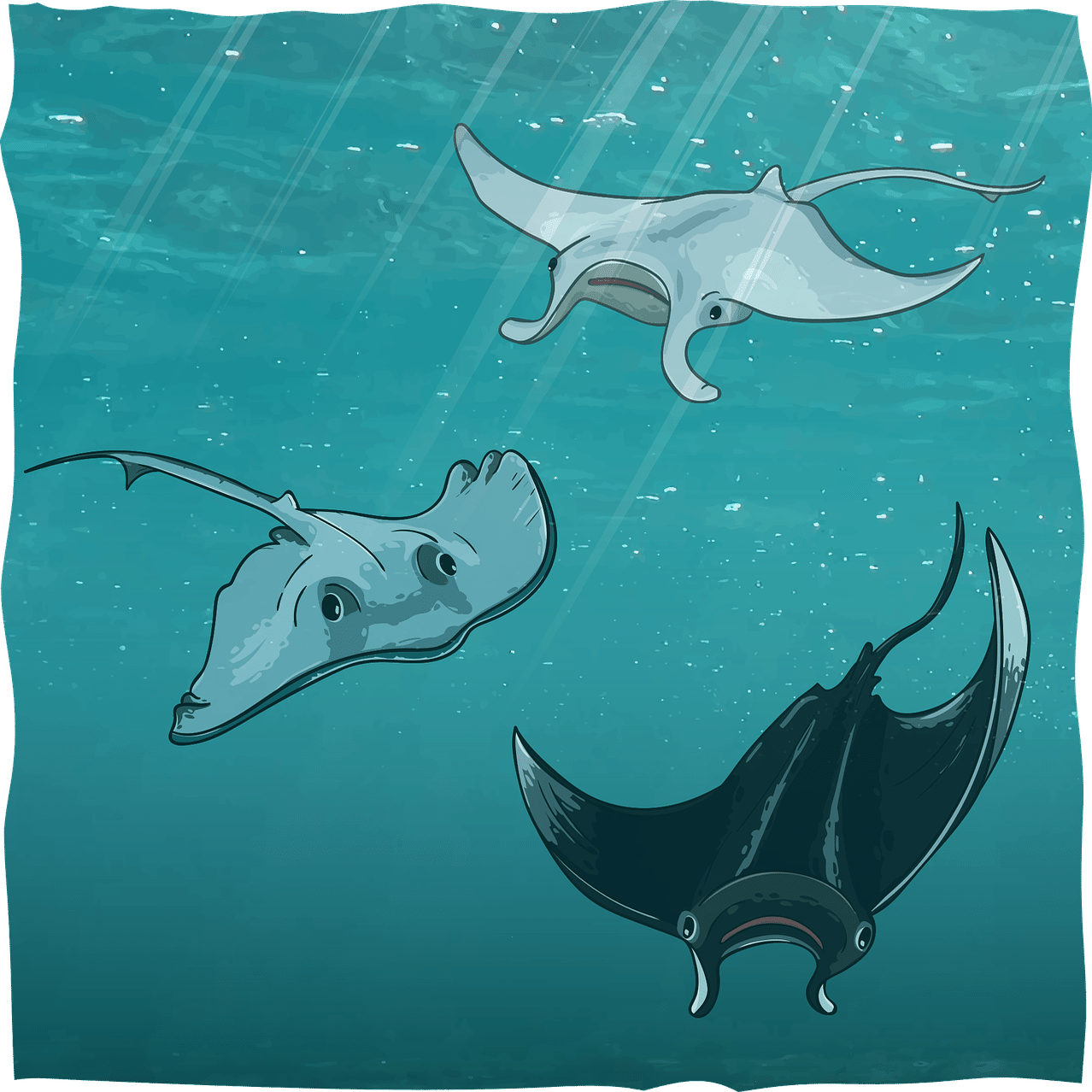 あつ森から学ぶ生物の話 エイヒレ食べるならエイのことも少しは知っておこ 緑木リョク Note