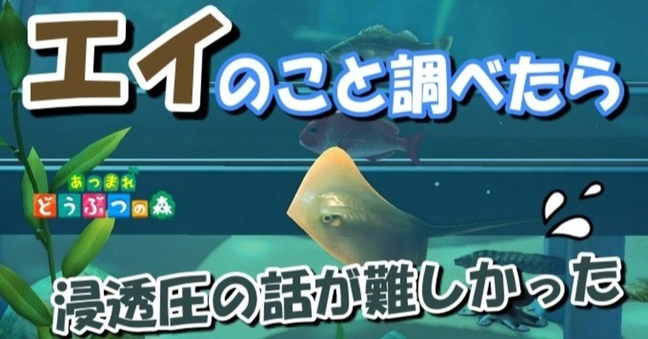 あつ森から学ぶ生物の話 エイヒレ食べるならエイのことも少しは知っておこ 緑木リョク Note