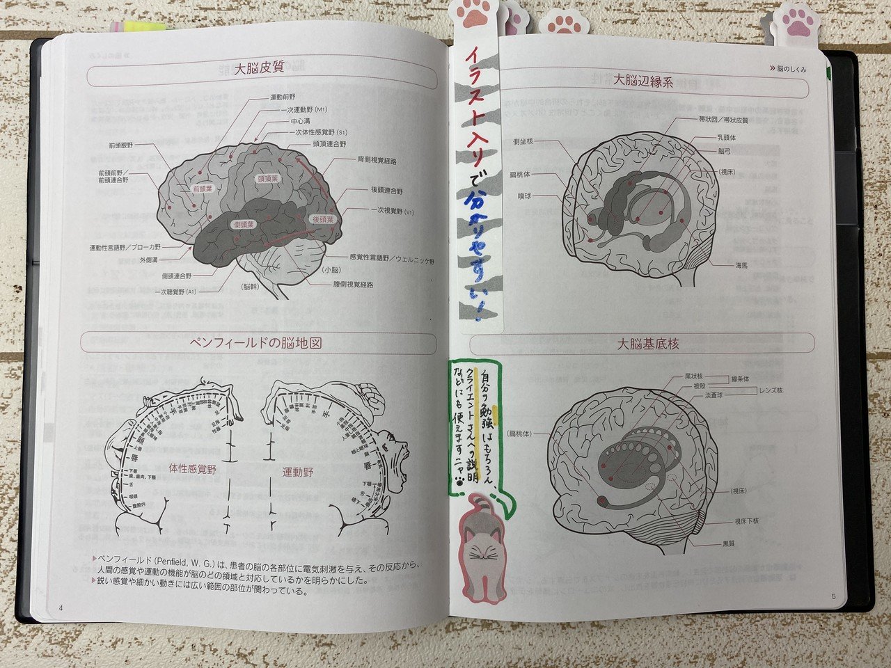 公認心理師試験はこれで乗り切りました。」～『心理学手帳2021年版
