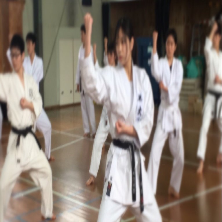 武道がとにかくかっこいいから ｍさん 早稲田生インタビュー 038 早稲田ぐらし Note