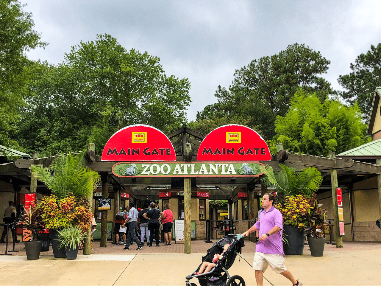迷い込んだのはゴリラの森 全米最大規模のアトランタ動物園 オダベラー 旅行大学 Note 迷い込んだのはゴリラの森 全米最大規模のアトランタ動物園 オダベラー 旅行大学 Note