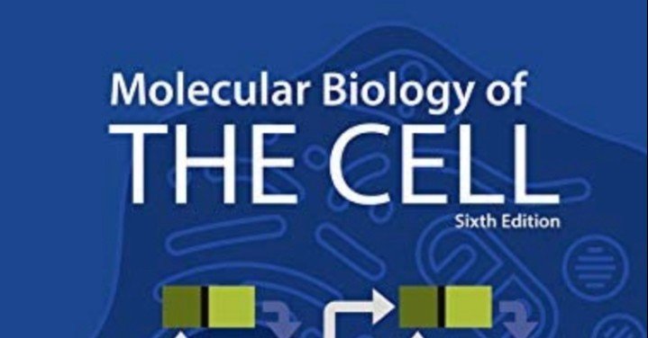 The Cell まとめノート #5 