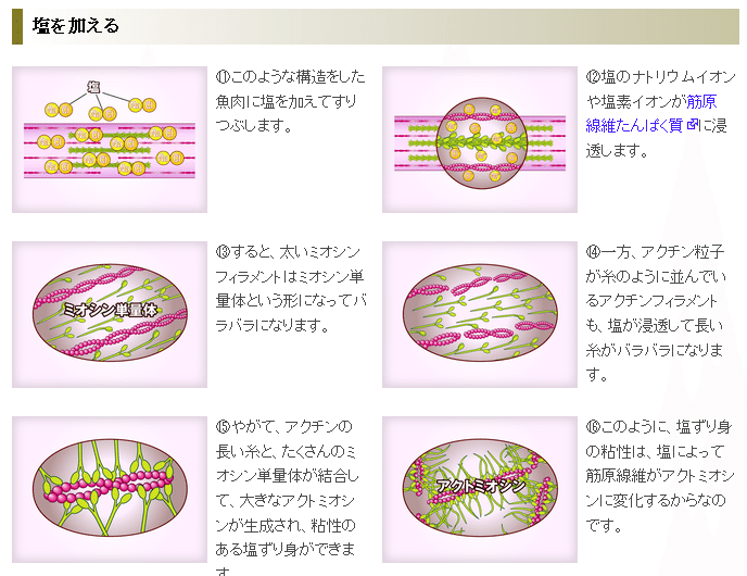 美味しんぼ38巻における かん水 描写への疑問を解決する 後編 ラーメン苦いかしょっぱいか 浜栗之助 Note 美味しんぼ38巻における かん水 描写への疑問を解決する 後編 ラーメン苦いかしょっぱいか 浜栗之助 Note