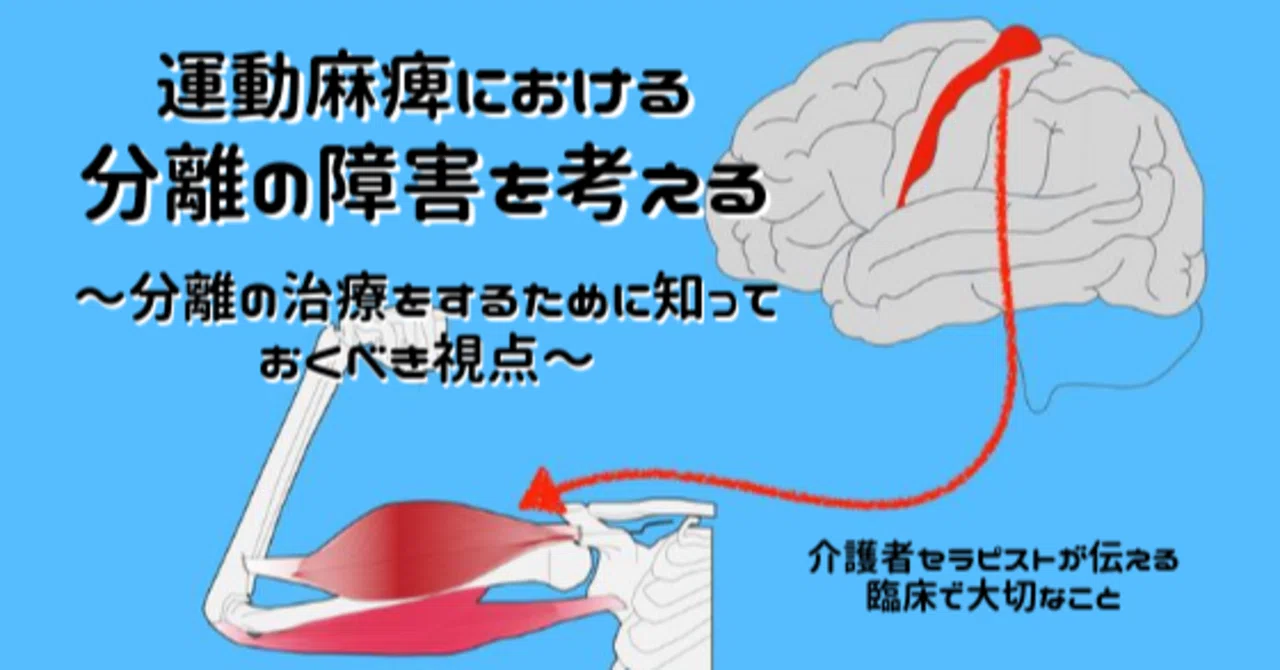 運動麻痺における分離の障害を考える 分離の治療をするために知っておくべき視点 脳外ブログ 臨床baton Note
