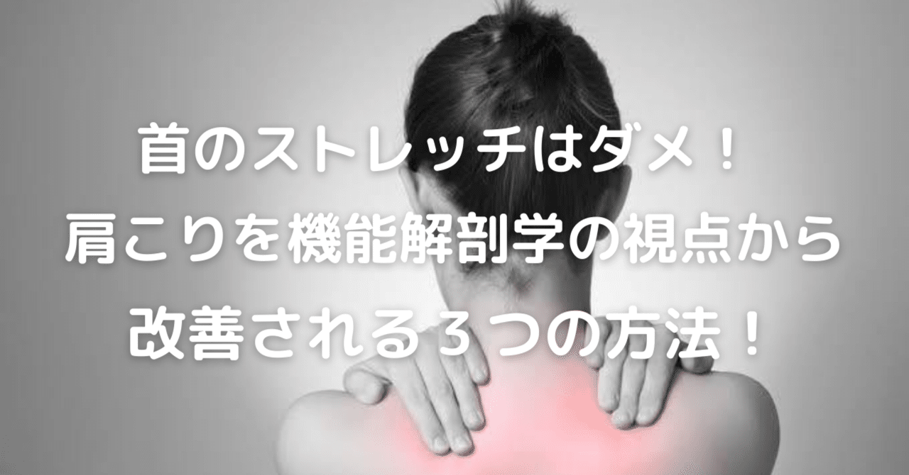 首のストレッチはダメ 肩こりを機能解剖学の視点から改善させる３つの 方法 自分の身体を正しく管理できる人を日本中に増やそう 日本身体管理学協会 Note