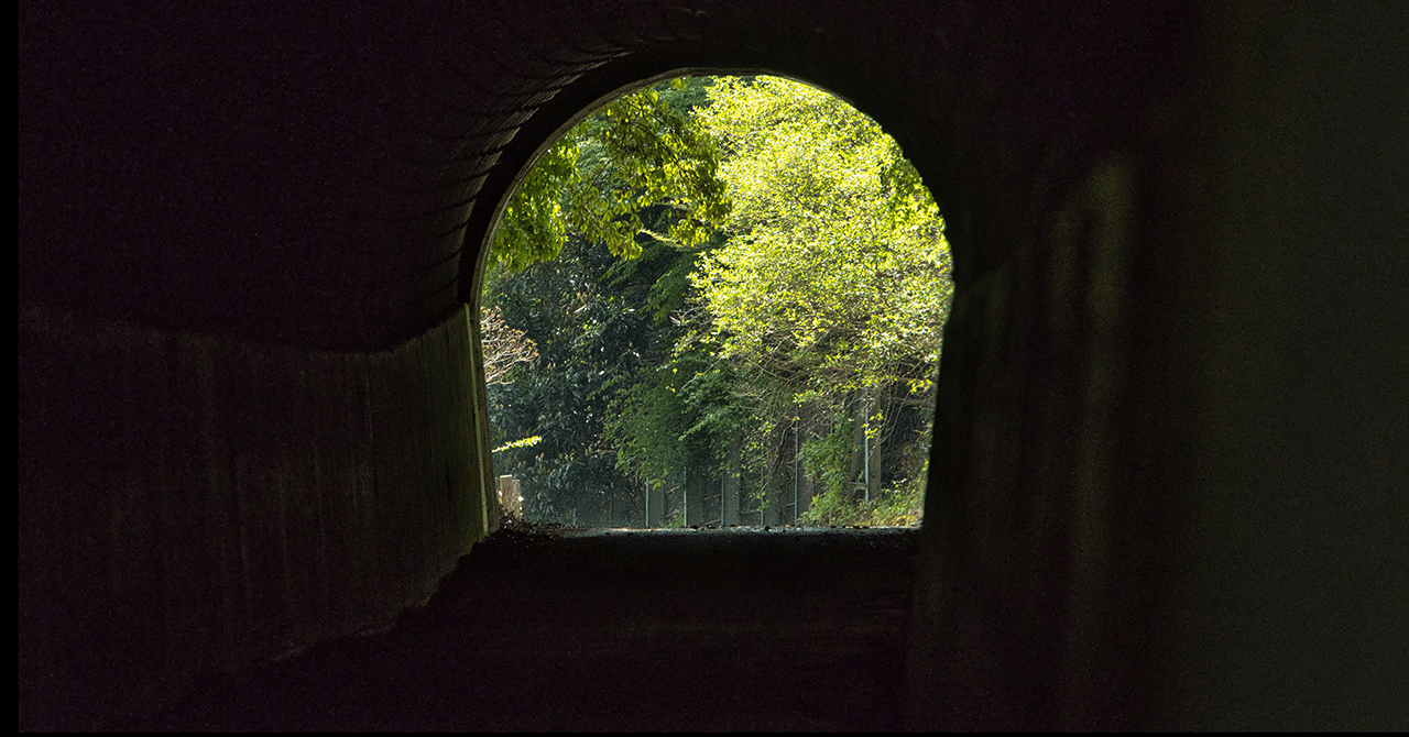 映画 犬鳴村 感想箇条書き Fragments Of はんぺん Note 映画 犬鳴村 感想箇条書き Fragments Of はんぺん Note