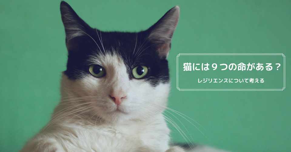 猫には９つの命がある レジリエンスに関する言葉から考える 髙岸 亮介 Ryosuke Takagishi Note