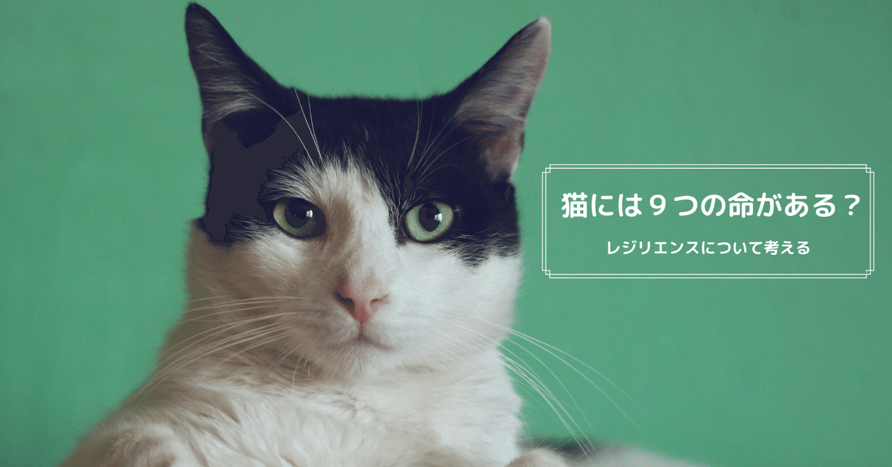 猫には９つの命がある レジリエンスに関する言葉から考える 髙岸 亮介 Ryosuke Takagishi Note