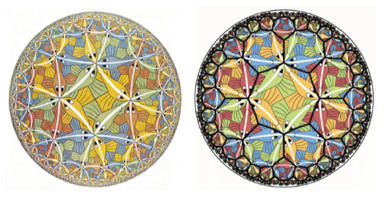 ステレオ投影｜sgk