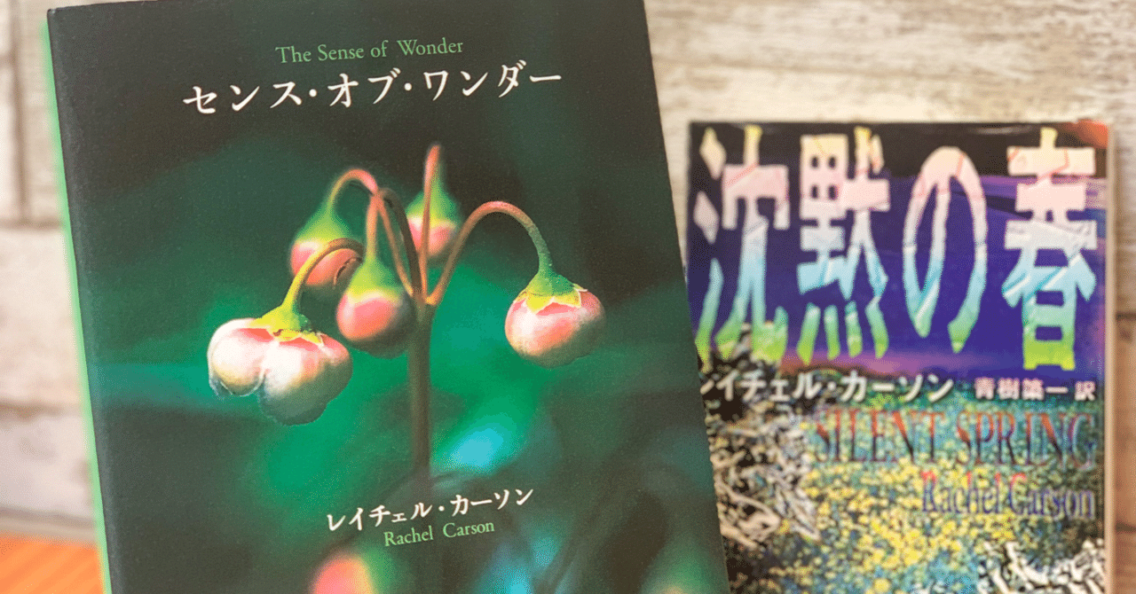 久しぶりにセンスオブワンダーを読み返して 空木マイカ Note 久しぶりにセンスオブワンダーを読み返して 空木マイカ Note
