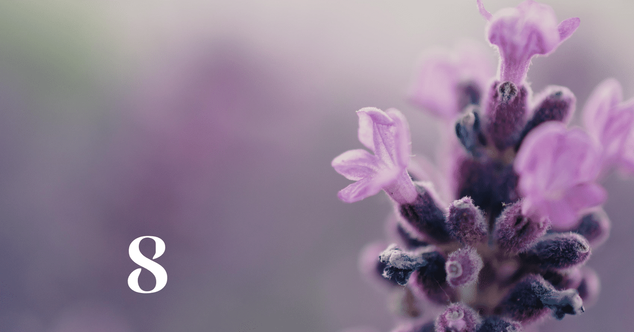 結婚式のご厚意と 新婚旅行の思い出 Yoko S Note