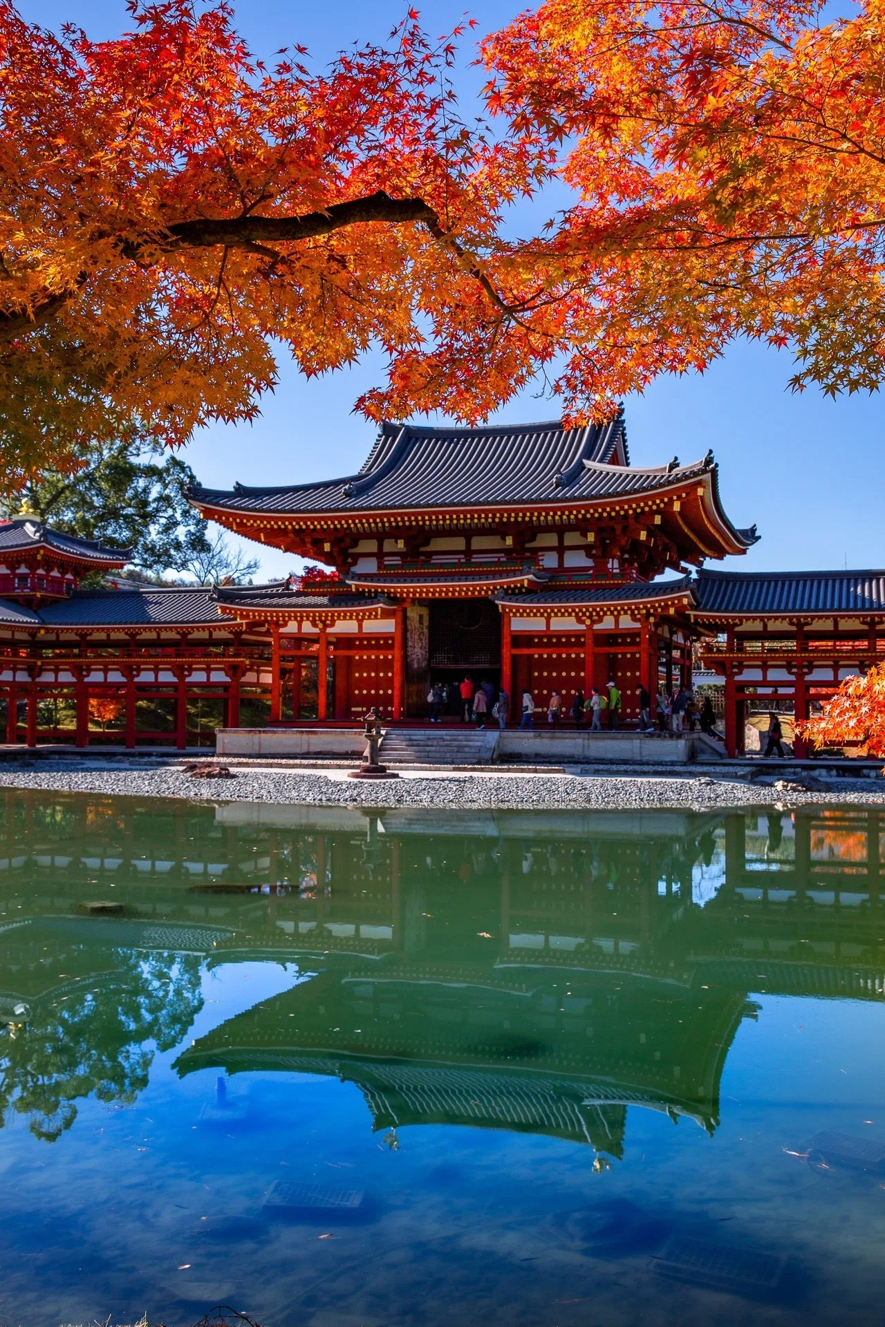 世界遺産の「平等院」｜Zenpaku