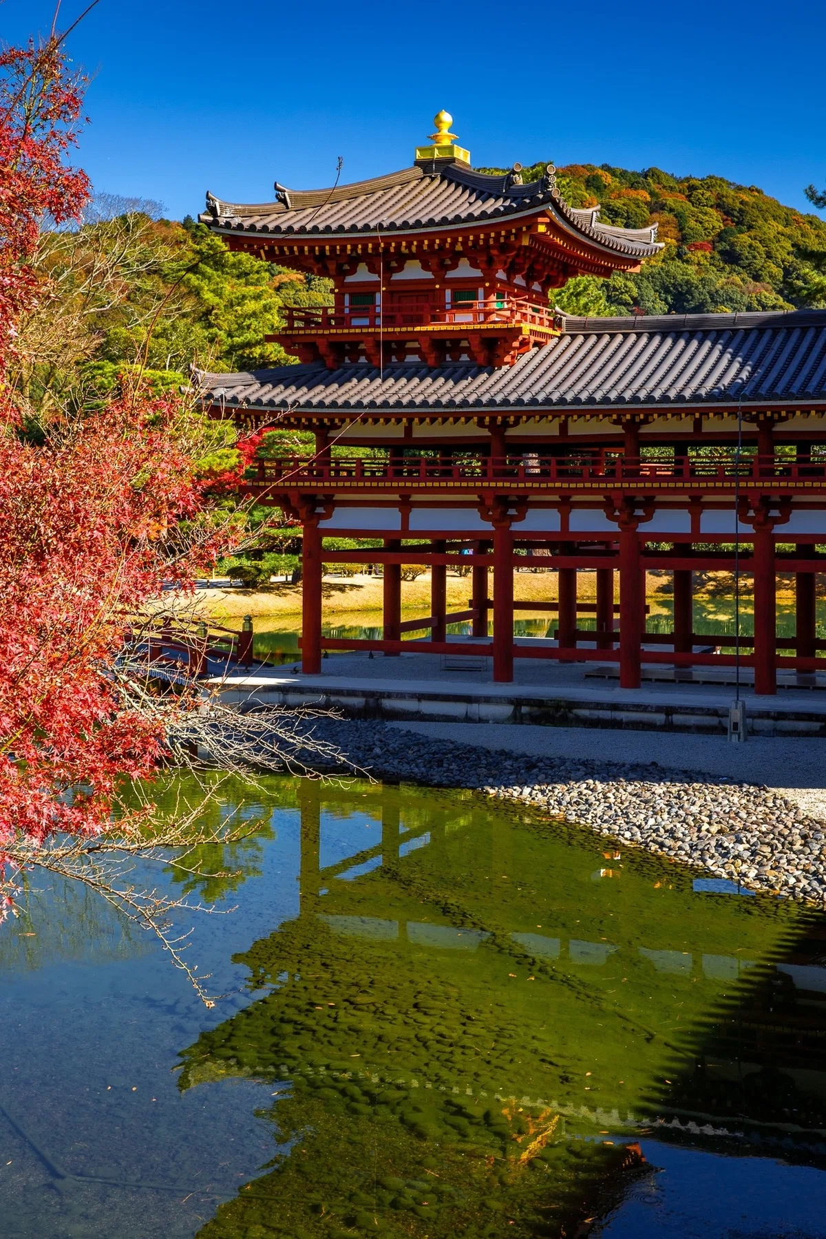 画像9