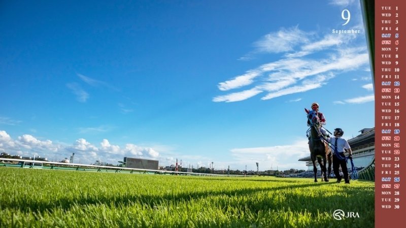 新潟記念サイン競馬の世界 Jraオリジナル壁紙 カレンダーからの画像サインを読み取ることができたなら 最高のサイン馬券が見えてくる 小倉2歳ステークス 丹頂ステークス掲載 レース終了 斎藤司 サイン 競馬の世界 Note