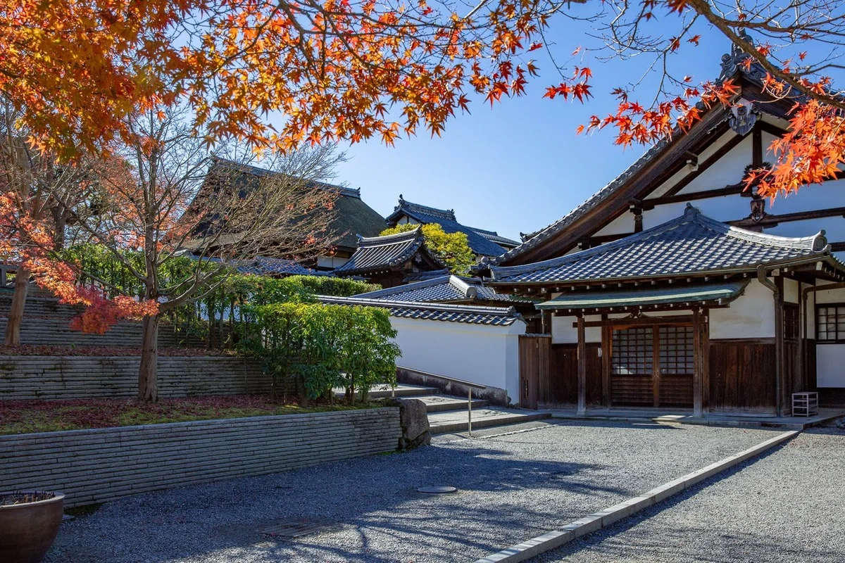 画像11