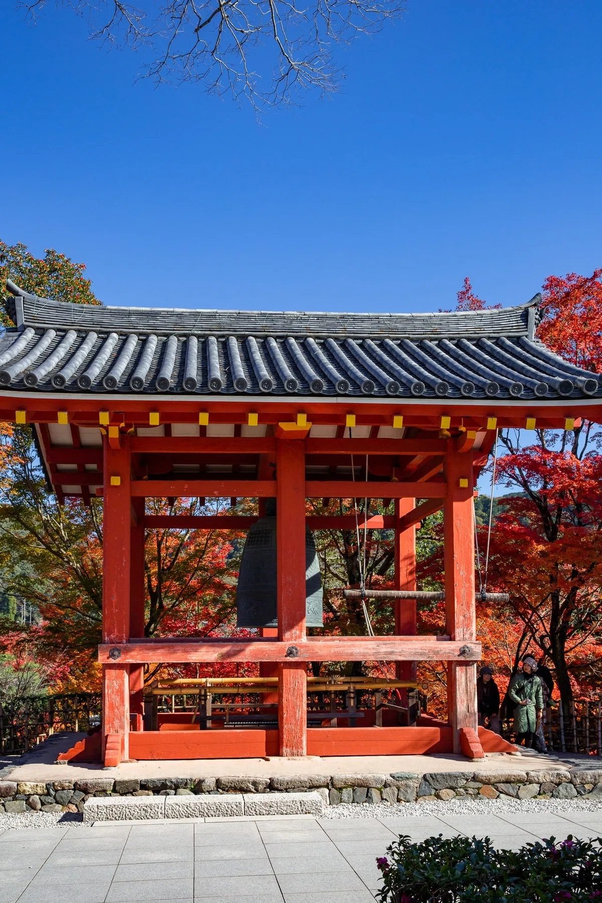 画像14