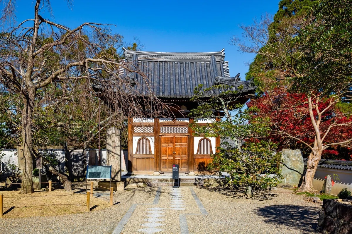 画像19