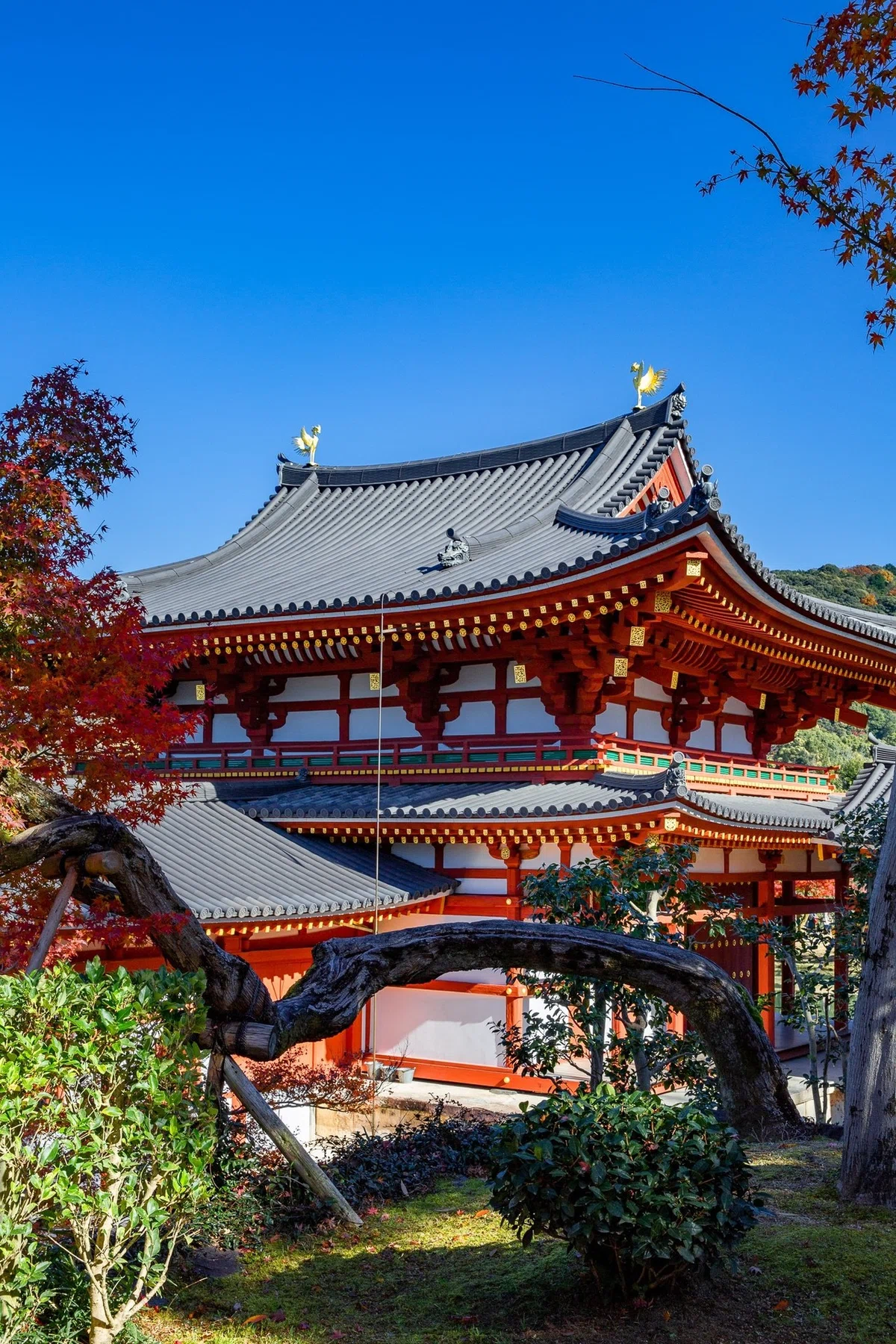 画像20