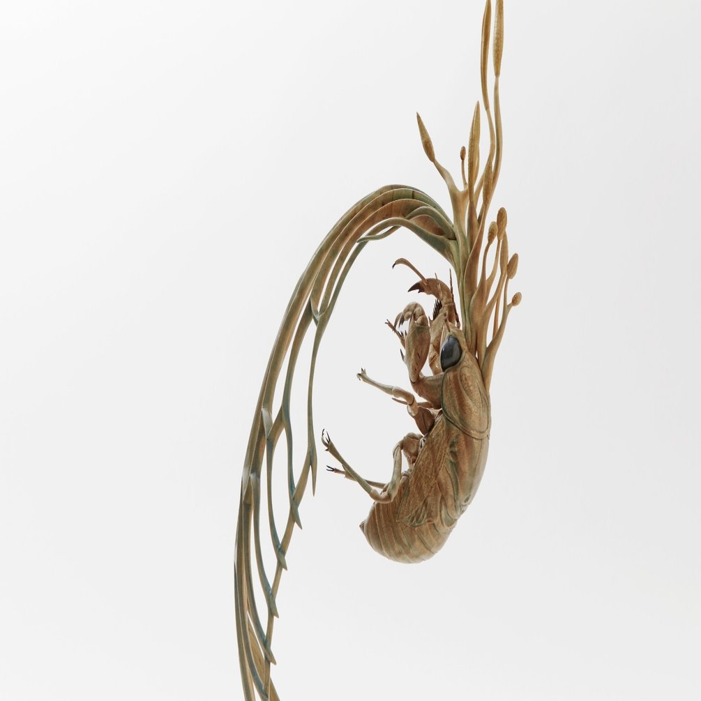 祈り2019（冬虫夏草）について｜大竹亮峯