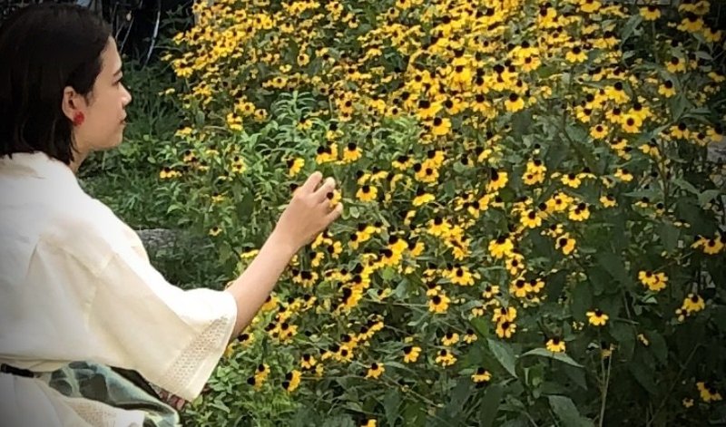 今 撮影できる花 東京編 Vol 1 Yugyo 花屋 Note