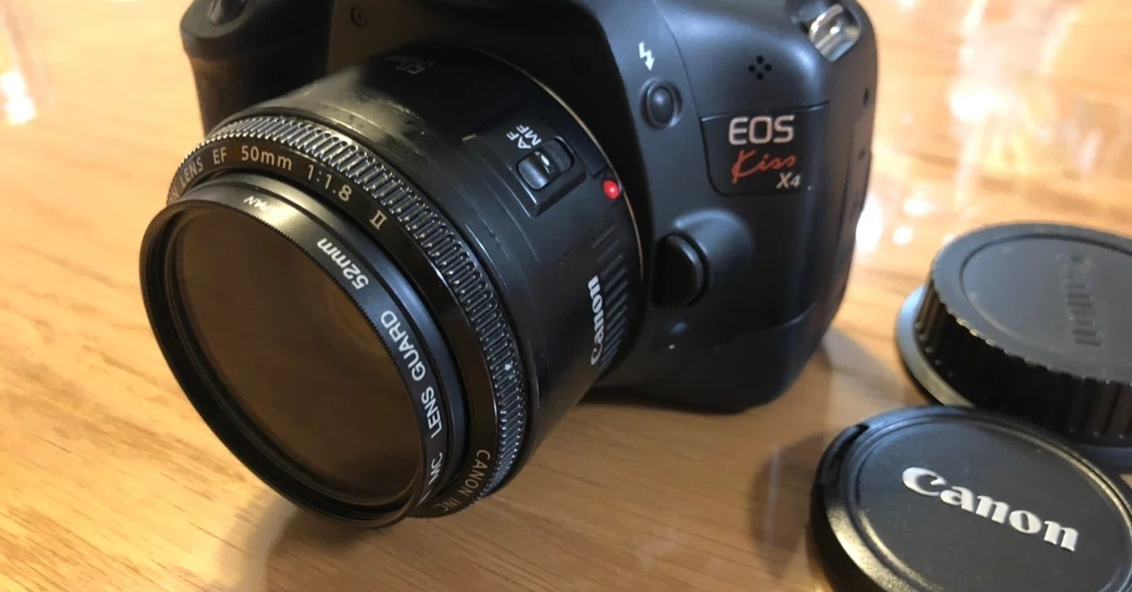 Canon EOS Kiss X4 + EF 50mm F1.8 IIで雨上がりの植物を撮影してみた 