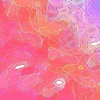 大食いなのに細くてずるいねって言われる私の食生活 つまりお腹にたまる食材を食べる話 G Dog Note