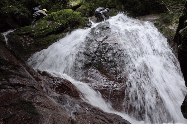 金山 滝川谷で沢登り｜ラリーグラス