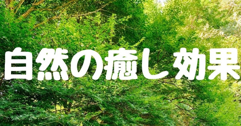 自然の癒し効果 クマ 助産師 不妊治療専門 Note