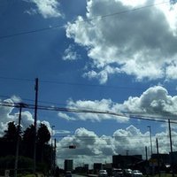 本日のバースデーカラー ディープティールグリーン 珠音 Mio わたしの人生建設中 Note