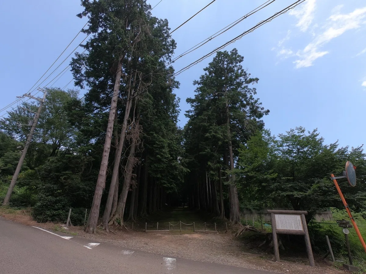 画像4