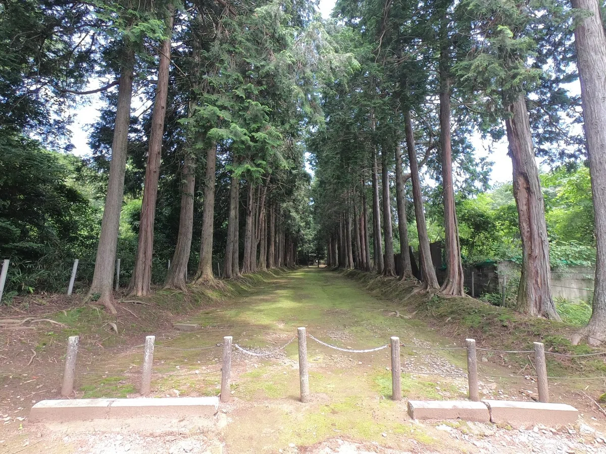 画像5