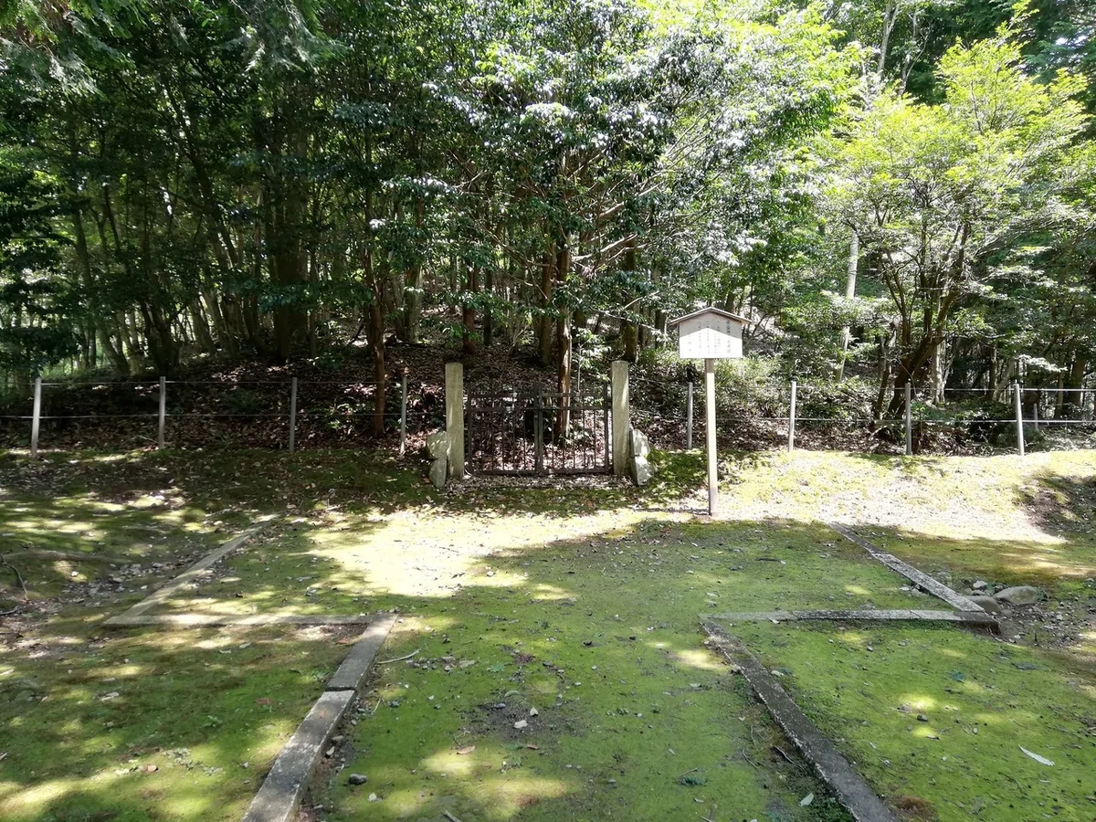 画像7