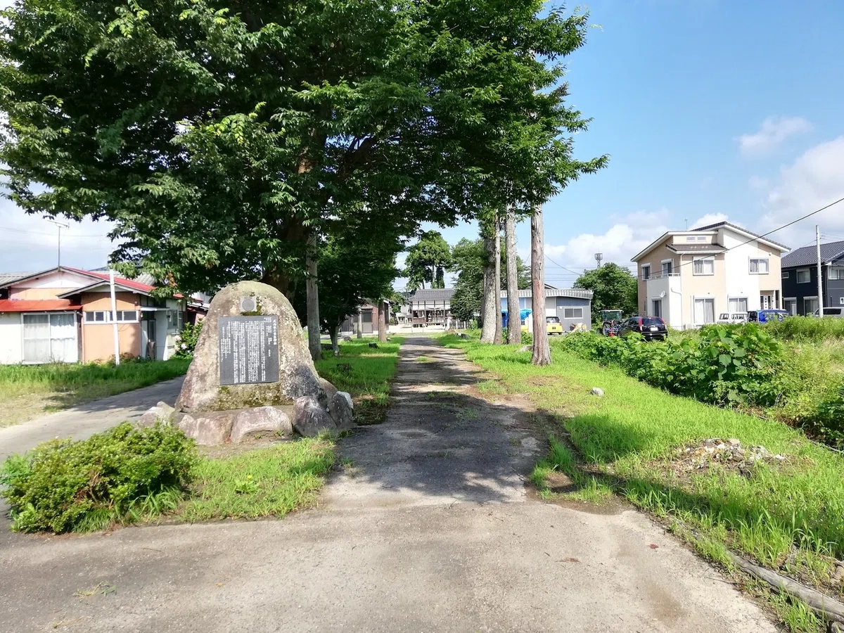 画像8
