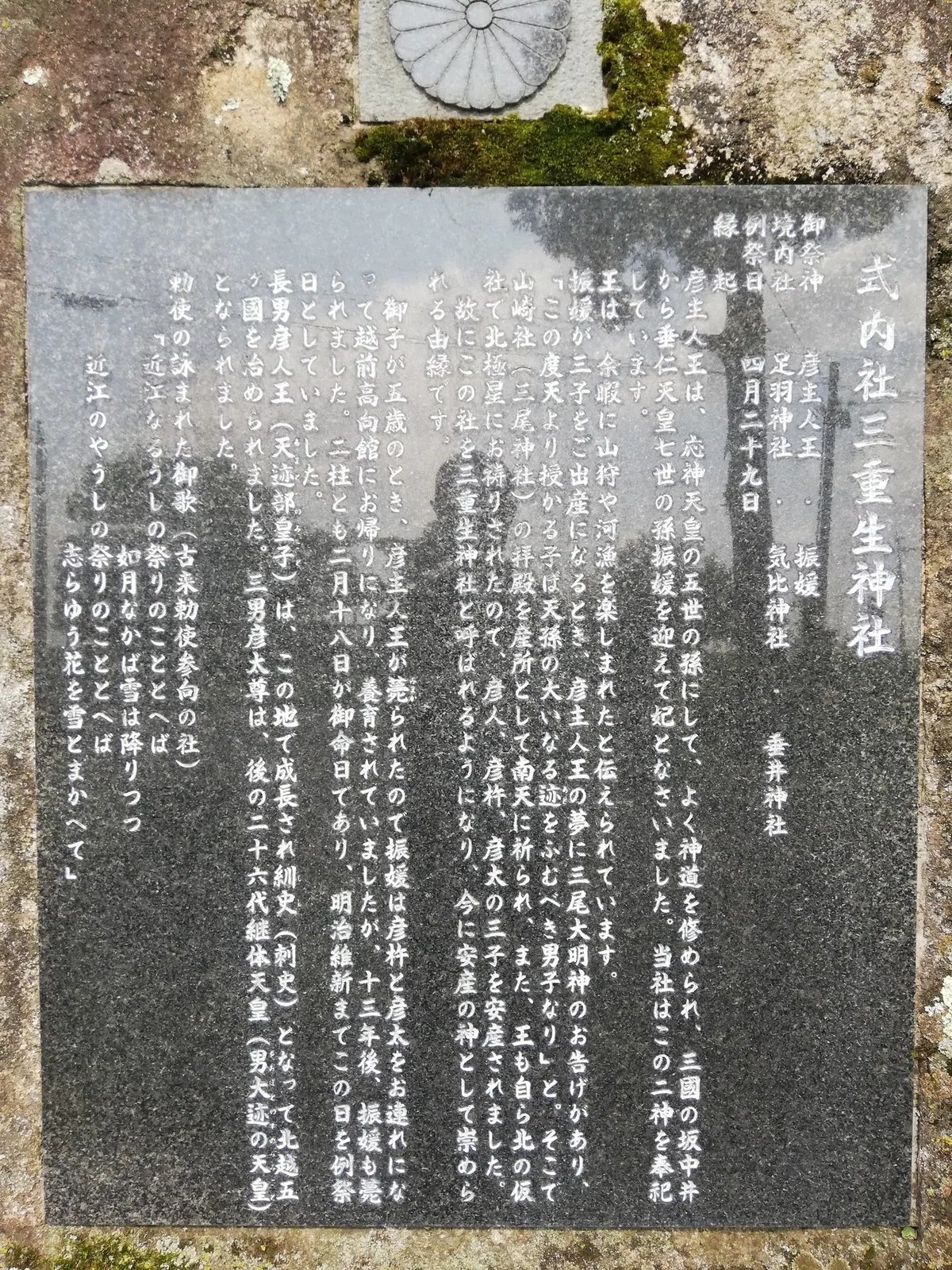 画像10