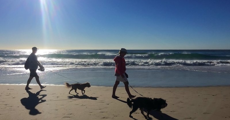 理想的な家族のありかた 無境界家族 森巣博 夕遊 Note