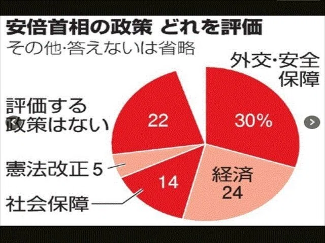 アベ仮病評価_R