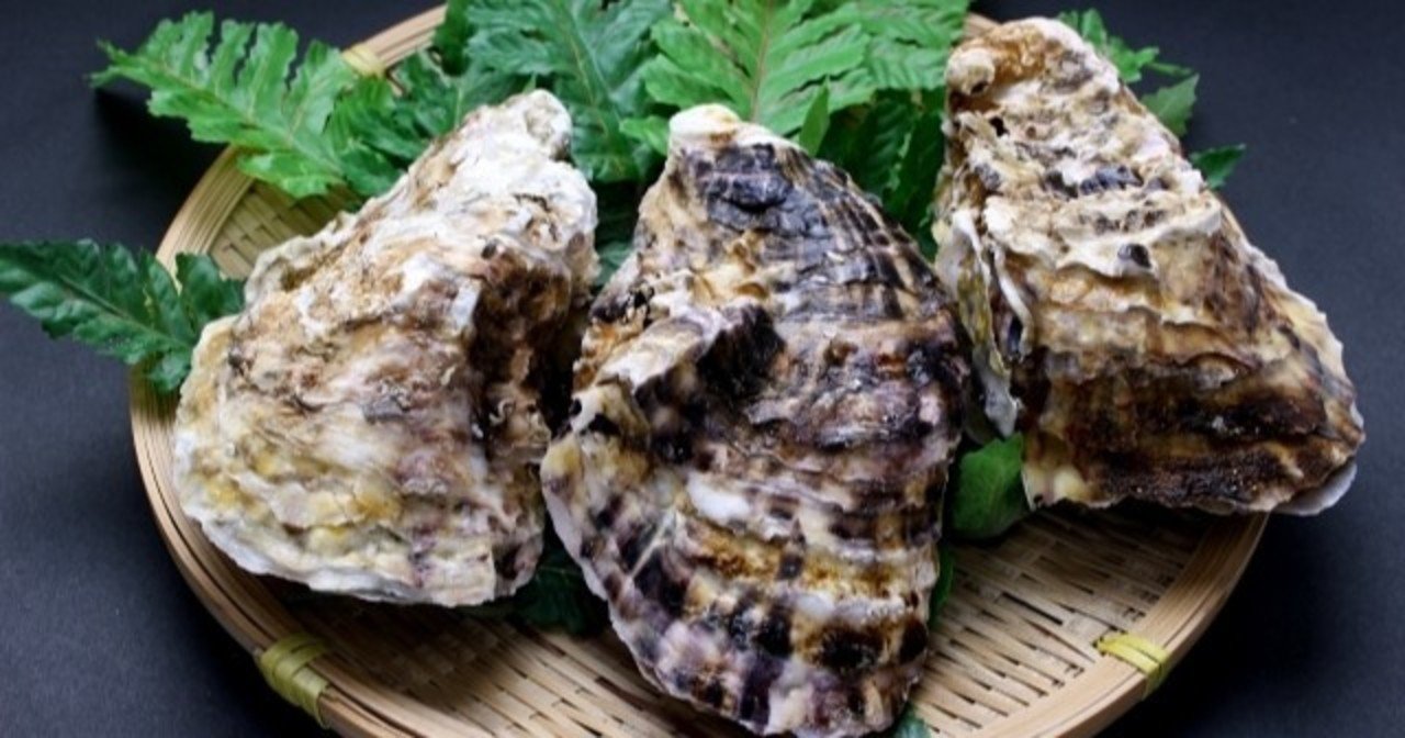 牡蠣の種類の見分け方 牡蠣マニア Note 牡蠣の種類の見分け方 牡蠣マニア Note