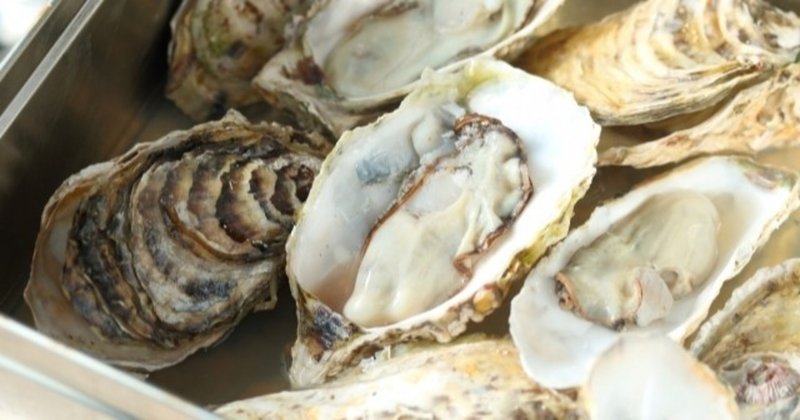 牡蠣って大きくても小さくても味は一緒 牡蠣マニア Note