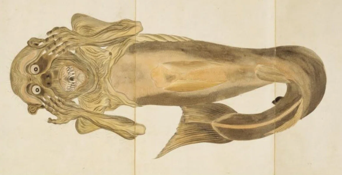 人魚のミイラの精巧な模写（『梅園魚譜』国立国会図書館蔵）