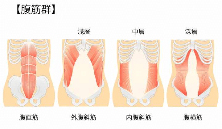 皮下脂肪も落とす Hisae Yokokawa Note 皮下脂肪も落とす Hisae Yokokawa Note
