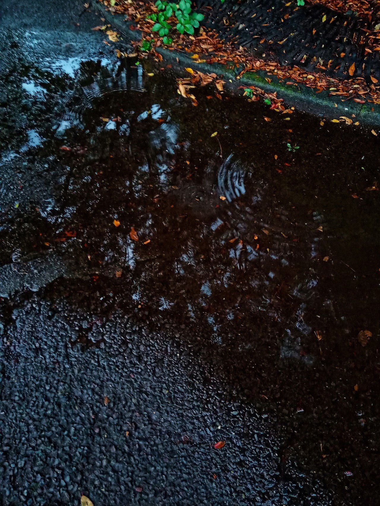 暦では秋でも猛烈な暑さの毎日 午後の雨がやんだ後に見た水溜まりには秋が写っていました なっしぃ Nasshiju Note 暦では秋でも猛烈な暑さの毎日 午後の雨がやんだ後に見た水溜まりには秋が写っていました なっしぃ Nasshiju Note