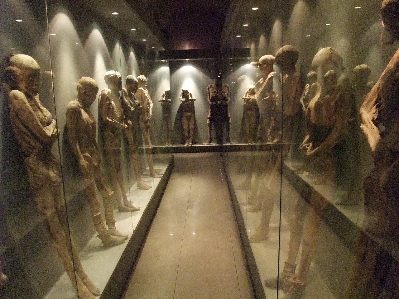 奇界遺産② ミイラ博物館｜クロマッティー