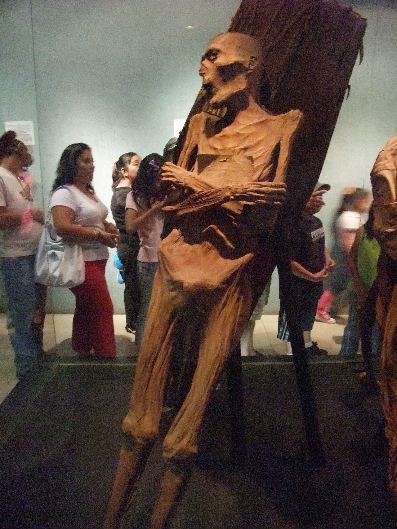 奇界遺産② ミイラ博物館｜クロマッティー