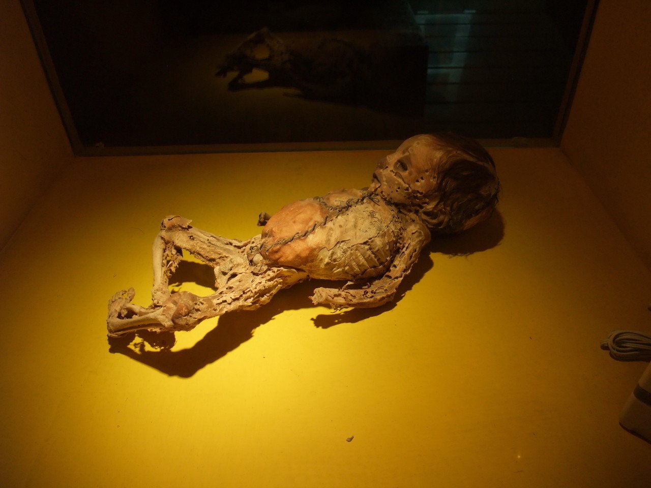 奇界遺産② ミイラ博物館｜クロマッティー