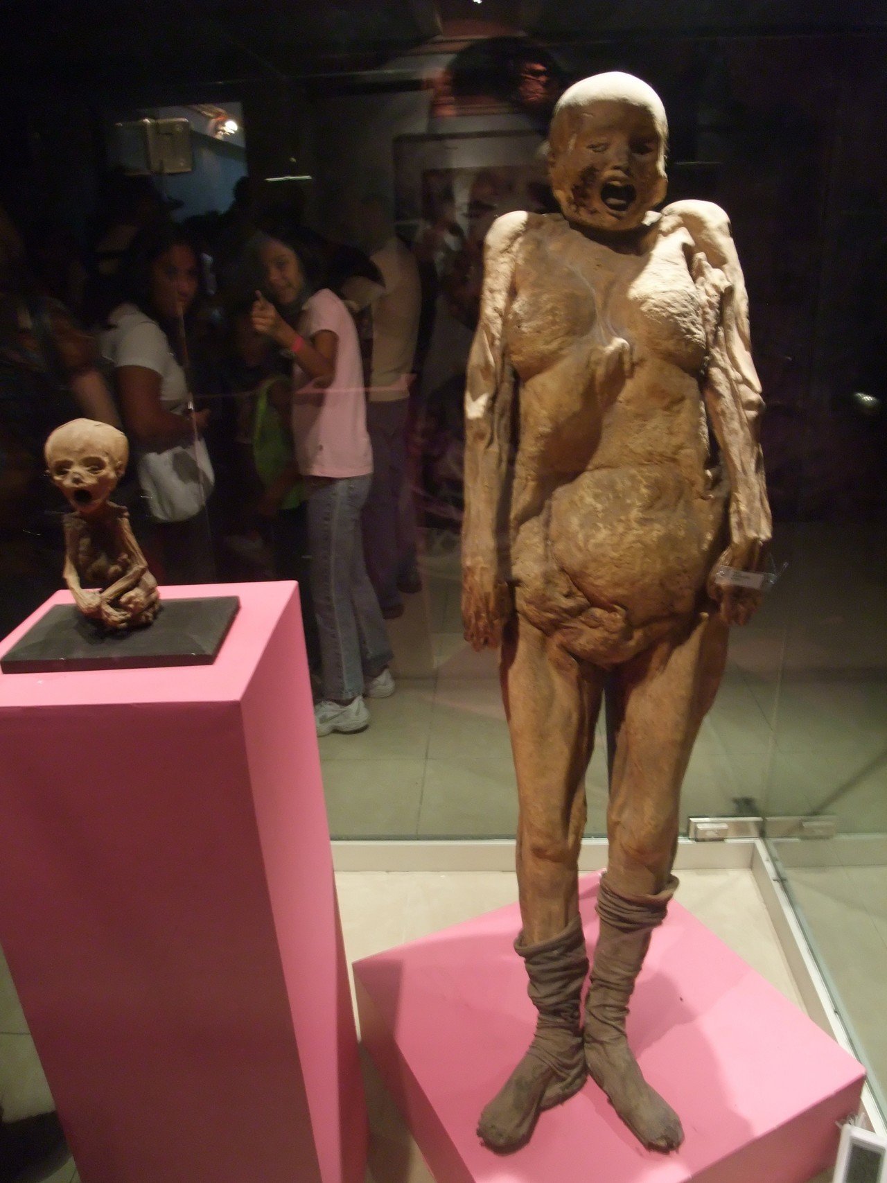 奇界遺産② ミイラ博物館｜クロマッティー