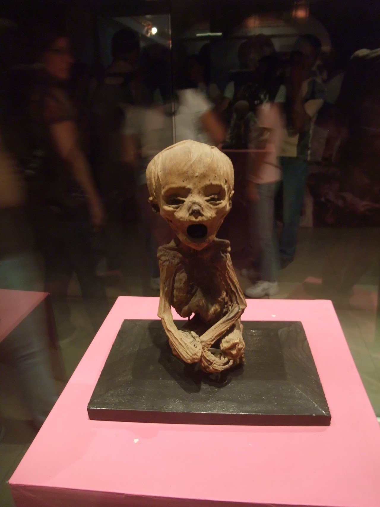 人間の生の遺産 ヨドから トミカのフリーザ様と 30MFのストラクチャー着弾👍 最近30MF