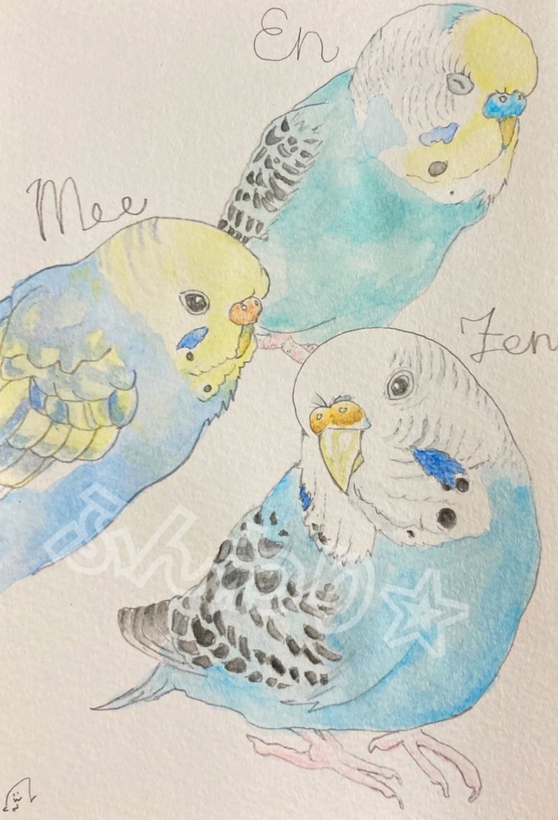 かわいんこ7 ふんわり Note かわいんこ7 ふんわり Note