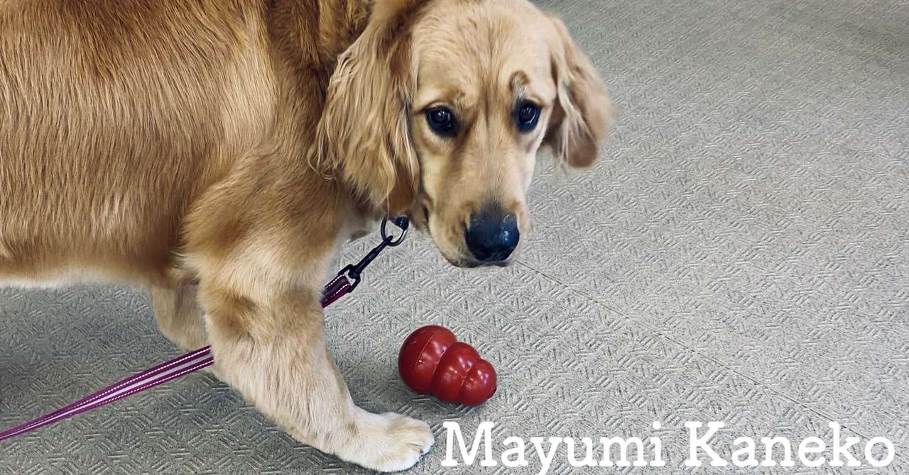 コングの食べ方いろいろ Mayumi Note